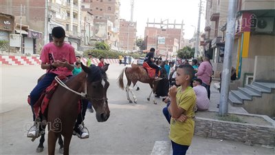 فسحة الغلابة بـ 5 جنيه، ركوب الخيل وسيلة أطفال الغربية للاحتفال بعيد الأضحى (فيديو وصور)
