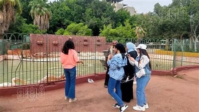 عمليات الشرقية: لم يتم رصد أي حالات تحرش 