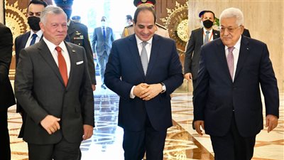 ثورة 30 يونيو، مواقف مصرية ثابتة تجاه القضية الفلسطينية 