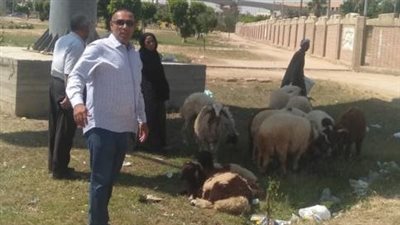  حملة لإزالة شوادر الأضاحي وإشغالات الباعة الجائلين بأكتوبر أول أيام العيد