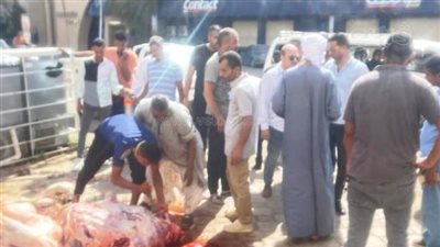 رصد 37 مخالفة ذبح خارج المجازر الحكومية بأسوان (صور)