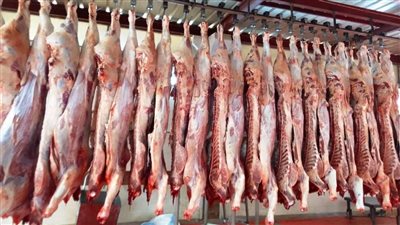 الزراعة: ذبح 9700 أضحية بالمجازر في أول أيام العيد