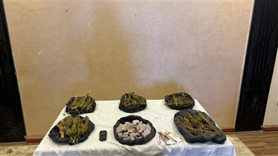 ضبط مخدرات بقيمة 2.2 مليون جنيه في الإسماعيلية 