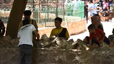 فرحة بين أطفال حديقة الحيوان عقب انتشال كرة من بحيرة صناعية (صور) 