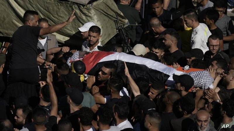 شهيد فلسطيني، فيتو