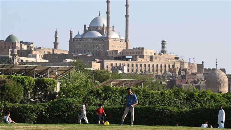 اللعب بالكرة في حديقة