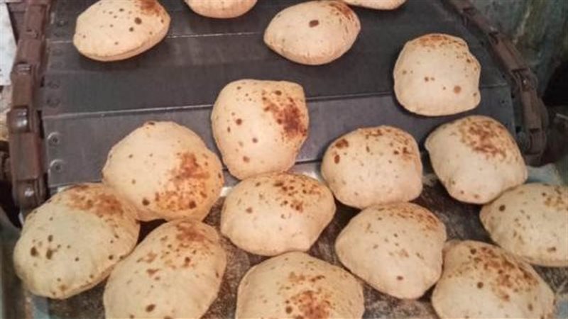 تحرير 164 محضرا تموينيا