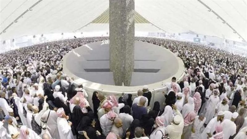 حكم جمع الحصيات من