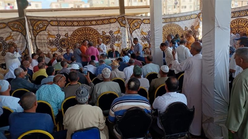 مزاد لبيع القطن 