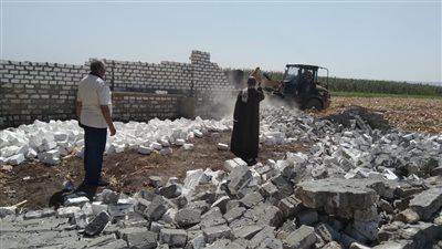 الزراعة تحذر المواطنين من تبوير الأراضي بعد إزالة التعديات| فيديو