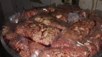 مصادرة 3 أطنان لحوم مستوردة فاسدة داخل ثلاجة بالقاهرة