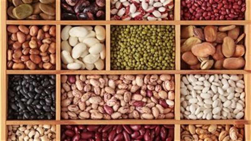 اسعار البقوليات 