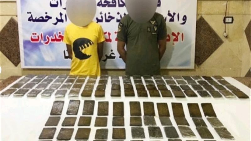  مخدر الحشيش 