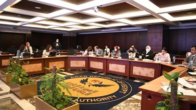 الرقابة المالية: ندرس تطوير القواعد لتعزيز التحول الرقمي وتحقيق الشمول التأميني