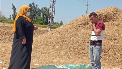 وزيرة البيئة: ضبط 501 منشأة صناعية مخالفة