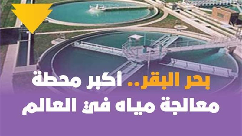 فيتو
