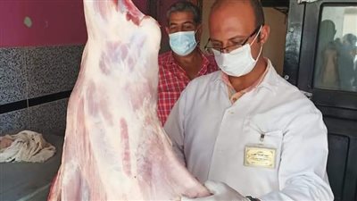 ضبط لحوم خارج السلخانة ومخالفات تموينية في الدقهلية 