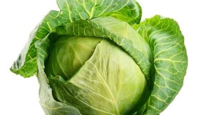 مال وفير أو زوج قاسي الطباع.. دلالات وتفسير رؤية الكرنب في المنام 