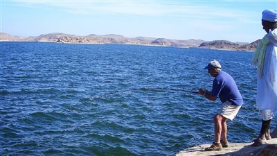 طلب إحاطة بشأن تراجع إنتاج بحيرة ناصر من الأسماك