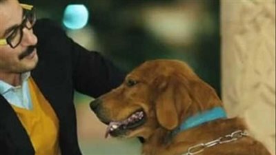  نجوم ظهروا مع كلابهم ويعشقون تربيتها.. تعرف عليهم