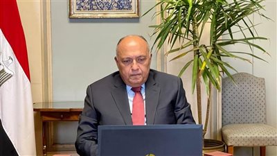 مصر تدين الصمت الدولي حول تواجد المرتزقة في ليبيا.. و6 اقتراحات لحفظ الأمن الأفريقي