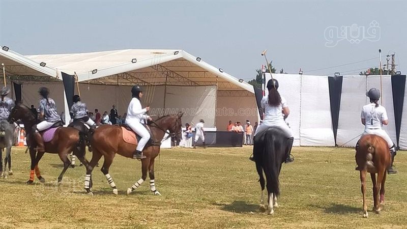 مهرجان الخيول العربية