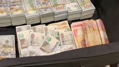 غرفة سرية بداخلها ملايين الدولارات وذخائر.. مضبوطات مخطط إحياء تنظيم الإخوان..و«أمن الدولة» تحقق | صور