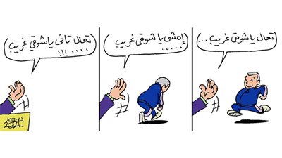 شوقى غريب رايح جاى