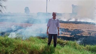 تحرير محضر حرق قش الأرز بديمشلت في الدقهلية 