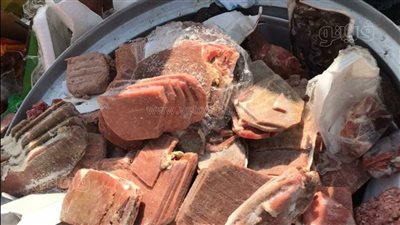 ضبط 4 أطنان بانيه وبرجر فاسدة بالسنطة وزفتى |صور