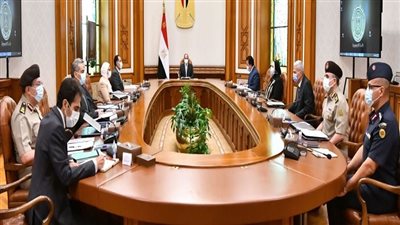 الرئاسة في أسبوع.. السيسي يوجه بتأسيس البنية الكهربائية للمشروع العملاق 