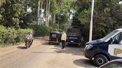 السيطرة علي حريق بجزيرة الشعير بالقناطر الخيرية صور 