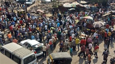 مصادرة ثعابين وزواحف وتماسيح بسوق الجمعة |صور