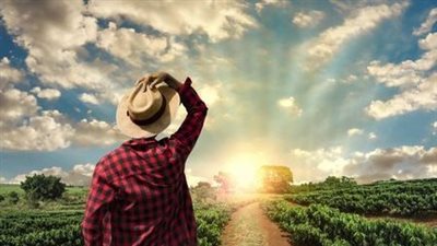 فاتورة مواجهة الآثار السلبية لتغير المناخ في مصر.. 324 مليار دولار تكلفة مشروعات التخفيف والتكيف.. و7 ملايين دولار لإعلان مدينة شرم الشيخ خضراء