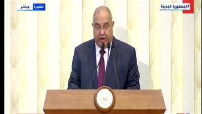 رئيس المحكمة الدستورية: السيسي أول من نبه العالم من خطورة الإرهاب | فيديو