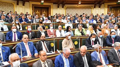 أبرزها قبول الهبات والمنح.. 14 اختصاصا لهيئة الرعاية الصحية بالقانون