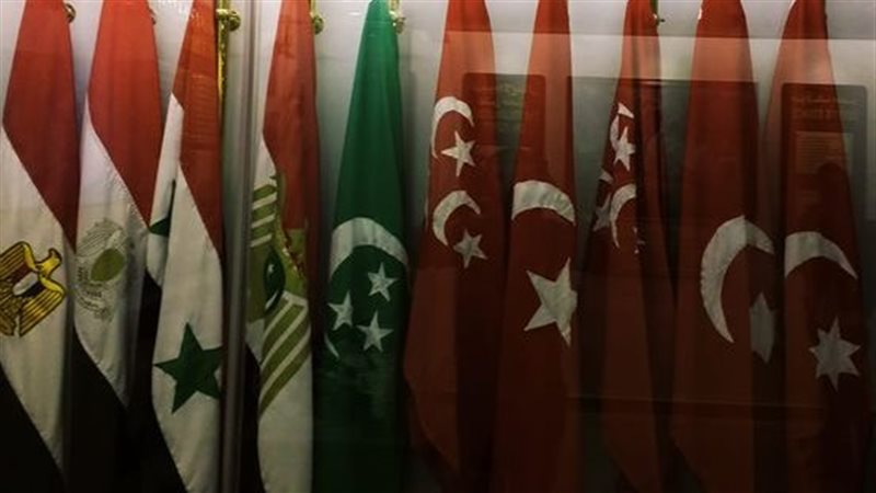 الأعلام المصرية خلال