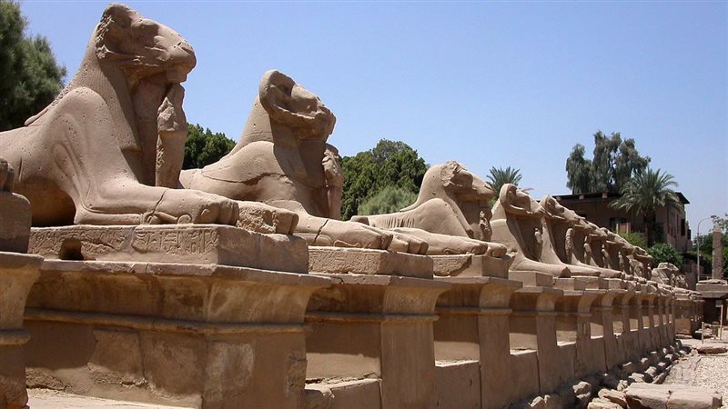 طريق الكباش