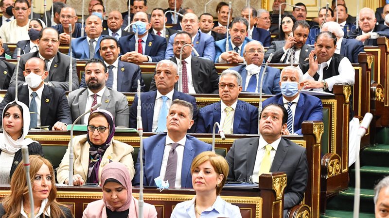 مجلس النواب 