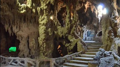 الآثار تكشف حقيقة شطب حديقة الأسماك وتحويلها لـ كافتيريات ومطاعم