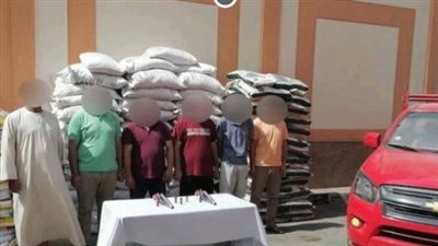 حبس تشكيلين عصابيين لسرقة مواشى ومستلزمات زراعية بالمنوفية والبحيرة 