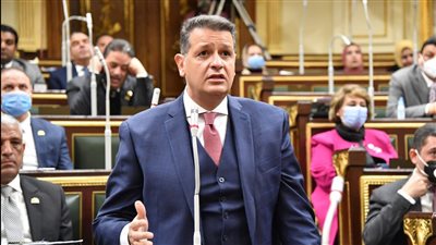 طارق رضوان رئيسا للجنة حقوق الإنسان بالبرلمان