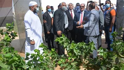 محافظ الوادي الجديد يفتتح مشروع واحة الحرير في العيد القومي| صور
