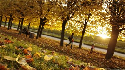 احرص على اتباع هذه التعليمات للوقاية من الأمراض المعدية في الخريف