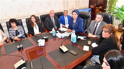 درية شرف الدين رئيسًا للجنة الإعلام بالبرلمان 