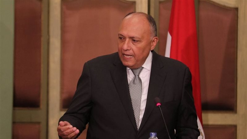 سامح شكري وزير الخارجية