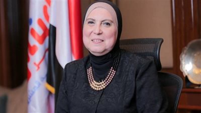 جهاز تنمية المشروعات الصغيرة يقدم خدمات مجانية لتسويق وتصميم المواقع الإلكترونية 