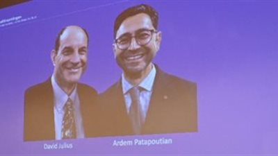 أحدهم من أصل عربي.. جائزة نوبل للطب تمنح للعالمين الأمريكي ديفيد جوليوس وأردم باتابوتيان