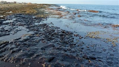 تسرب نفطي هائل يضرب سواحل كاليفورنيا | فيديو