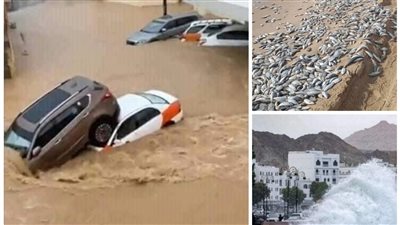 شر البلية ما يضحك.. طرائف الإعصار شاهين | فيديو